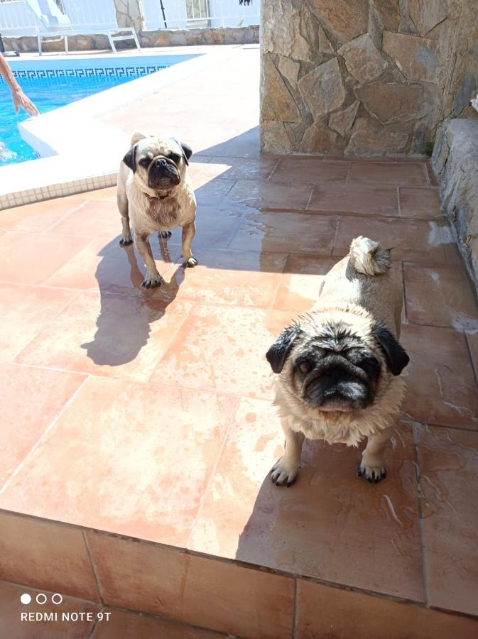 Apartment Costa Blanca ムチャメル エクステリア 写真